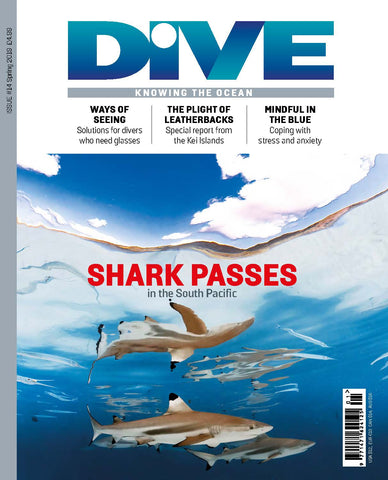 DIVE Magazine Spring 2019
