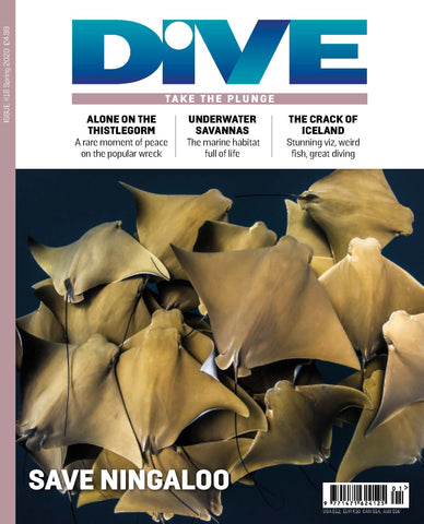 DIVE Magazine Spring 2020