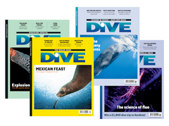 Our 12 month subscription to the printed issue of DIVE magazine. Need inspiration for a dive trip or thinking of buying a bit of kit? Every quarter we will send you the world's premier diving magazine printed with luxurious thick glossy pages and filled with the ultimate in scuba goodness. 