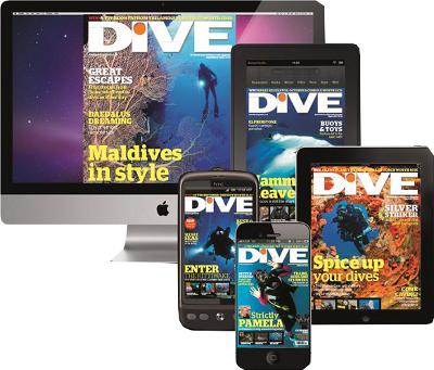 Dive Magazine Digital Only Subscription For just £9.99, a year's digital subscription to DIVE Magazine is better value than most streaming services - and with over 100 back-issues thrown into the bargain, more interesting. Subscribe now to start binge-reading almost ten years' worth of DIVE Magazine content